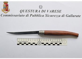 DROGA: L’ATTIVITÀ DELLA POLIZIA