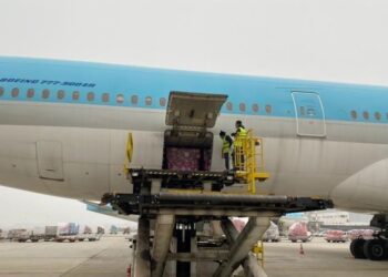 MALPENSA SDOGANAMENTO DI 500.000 TEST RAPIDI E 100.000 TAMPONI NASALI